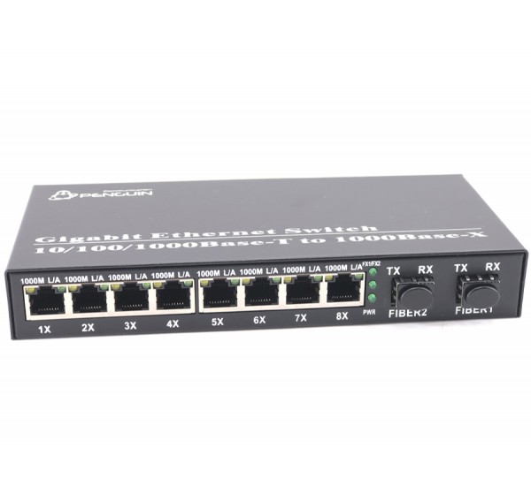 Full Gigabit Ethernet Switch 8GE + 2SFP