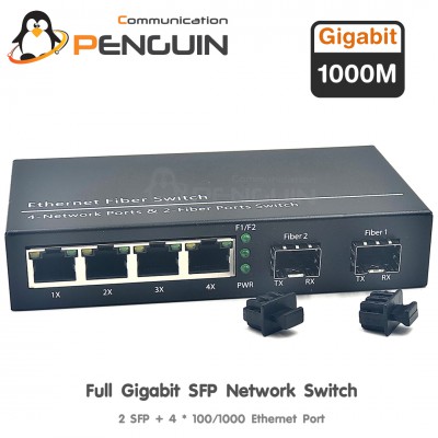 Gigabit Ethernet Switch 2 SFP + 4 GE Lan (10/100/1000)