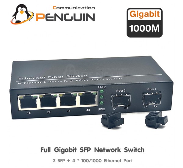 Gigabit Ethernet Switch 2 SFP + 4 GE Lan (10/100/1000)