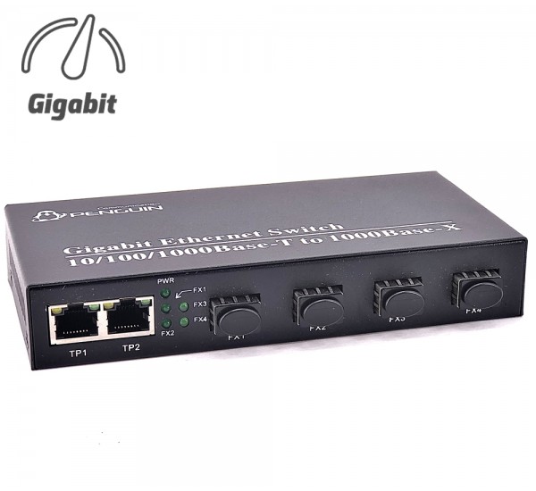 4 SFP + 2 GE CONVERTER SWITCH