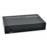 Gigabit Ethernet Switch 4 Port + 2 SFP