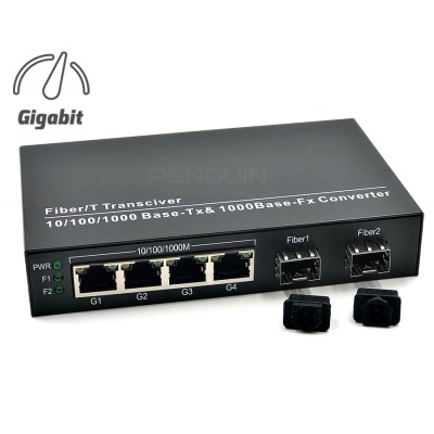 Gigabit Ethernet Switch 4 Port + 2 SFP