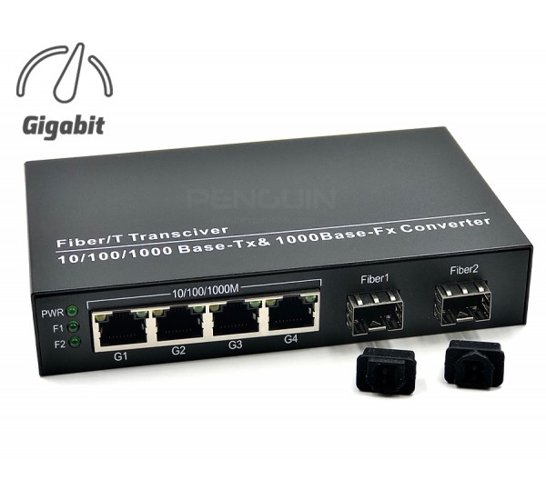 Gigabit Ethernet Switch 4 Port + 2 SFP