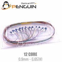 12 Core Pigtail LC/UPC 0.9mm - G.657A1