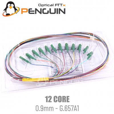 12 Core Pigtail LC/APC 0.9mm - G.657A1