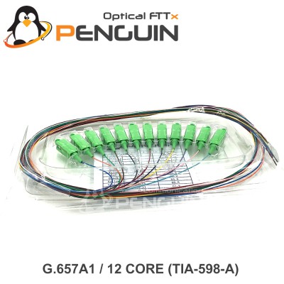 12 Core Pigtail SC/APC G.657A1 - 0.9mm Tight Buffer 1 เมตร