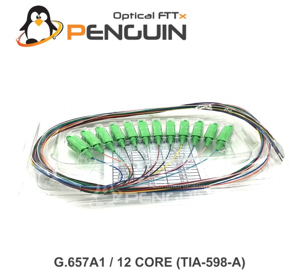 12 Core Pigtail SC/APC G.657A1 - 0.9mm Tight Buffer 1 เมตร