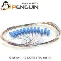 12 Core Pigtail SC/UPC G.657A1 - 0.9mm Tight Buffer 1 เมตร