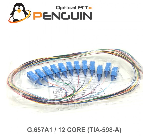 12 Core Pigtail SC/UPC G.657A1 - 0.9mm Tight Buffer 1 เมตร