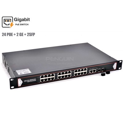 Gigabit PoE Switch 24 Port + 2 GE + 2 SFP (Rack Mount)