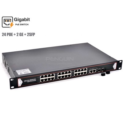 Gigabit PoE 24 Port + 2 GE + 2 SFP (Rack Mount 19")