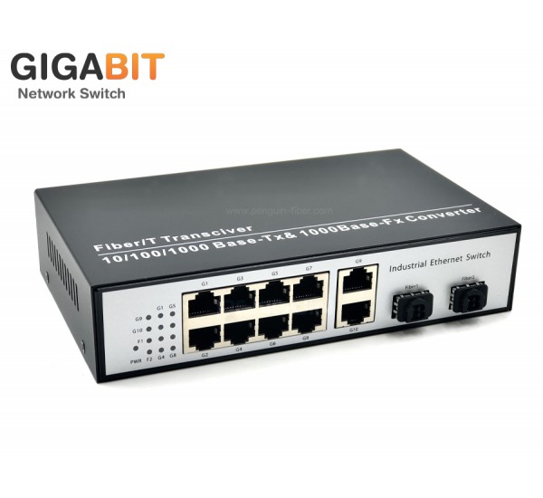 Gigabit Etehernet Switch 8 Port + 2 GE + 2 SFP